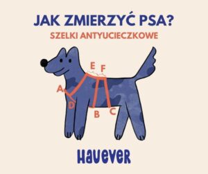 Praktyczny przewodnik: Jak skutecznie zmierzyć rozmiar psa?
