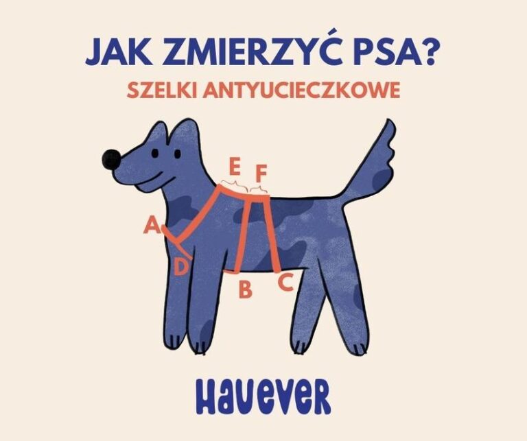 Praktyczny przewodnik: Jak skutecznie zmierzyć rozmiar psa?