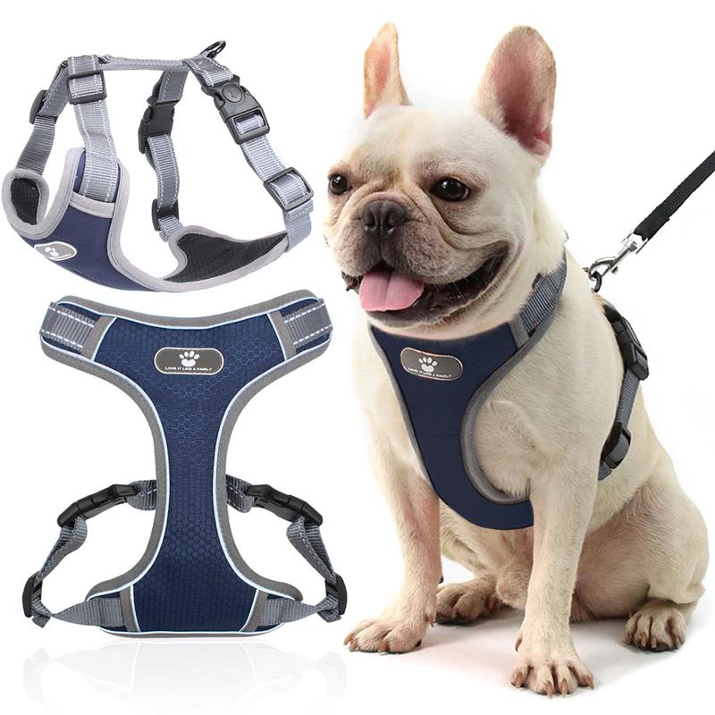 Modele szelek dla labradora